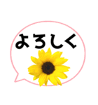 *花* ひまわり＆吹き出し Colorful（個別スタンプ：16）