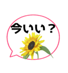 *花* ひまわり＆吹き出し Colorful（個別スタンプ：19）