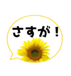 *花* ひまわり＆吹き出し Colorful（個別スタンプ：21）