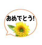 *花* ひまわり＆吹き出し Colorful（個別スタンプ：22）