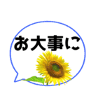 *花* ひまわり＆吹き出し Colorful（個別スタンプ：23）