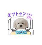 うちんちのラテちゃん（個別スタンプ：4）