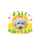 うちんちのラテちゃん（個別スタンプ：14）
