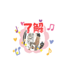 動く加藤家スタンプ（個別スタンプ：1）
