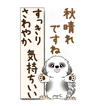 【Big】B＆Wのシーズー犬 『秋』2025（個別スタンプ：3）