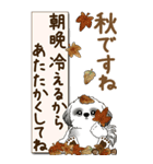【Big】B＆Wのシーズー犬 『秋』2025（個別スタンプ：4）