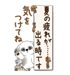 【Big】B＆Wのシーズー犬 『秋』2025（個別スタンプ：6）