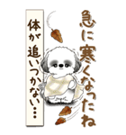 【Big】B＆Wのシーズー犬 『秋』2025（個別スタンプ：7）