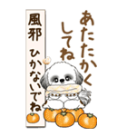 【Big】B＆Wのシーズー犬 『秋』2025（個別スタンプ：8）