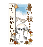 【Big】B＆Wのシーズー犬 『秋』2025（個別スタンプ：9）