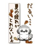 【Big】B＆Wのシーズー犬 『秋』2025（個別スタンプ：10）