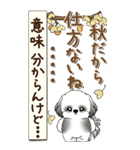 【Big】B＆Wのシーズー犬 『秋』2025（個別スタンプ：12）