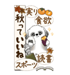 【Big】B＆Wのシーズー犬 『秋』2025（個別スタンプ：17）
