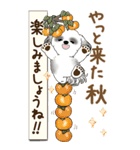 【Big】B＆Wのシーズー犬 『秋』2025（個別スタンプ：18）