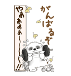 【Big】B＆Wのシーズー犬 『秋』2025（個別スタンプ：19）