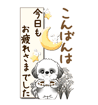 【Big】B＆Wのシーズー犬 『秋』2025（個別スタンプ：21）