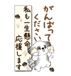 【Big】B＆Wのシーズー犬 『秋』2025（個別スタンプ：28）
