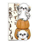 【Big】B＆Wのシーズー犬 『秋』2025（個別スタンプ：30）