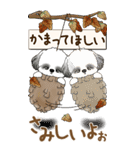 【Big】B＆Wのシーズー犬 『秋』2025（個別スタンプ：31）