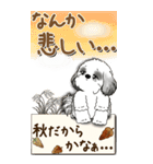 【Big】B＆Wのシーズー犬 『秋』2025（個別スタンプ：32）