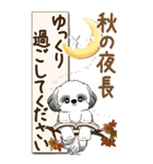 【Big】B＆Wのシーズー犬 『秋』2025（個別スタンプ：35）