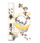 【Big】B＆Wのシーズー犬 『秋』2025（個別スタンプ：37）