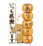 【Big】プードルさん 『秋』2025（個別スタンプ：25）