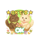ふわふわメインクーンのアニメスタンプ（個別スタンプ：1）