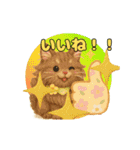 ふわふわメインクーンのアニメスタンプ（個別スタンプ：3）