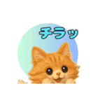 ふわふわメインクーンのアニメスタンプ（個別スタンプ：8）
