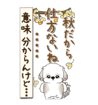 【Big】シーズー犬 『秋』2025（個別スタンプ：12）