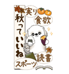 【Big】シーズー犬 『秋』2025（個別スタンプ：17）