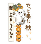 【Big】シーズー犬 『秋』2025（個別スタンプ：18）