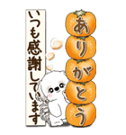 【Big】シーズー犬 『秋』2025（個別スタンプ：25）
