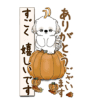 【Big】シーズー犬 『秋』2025（個別スタンプ：26）