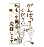 【Big】シーズー犬 『秋』2025（個別スタンプ：28）