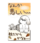 【Big】シーズー犬 『秋』2025（個別スタンプ：32）