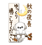 【Big】シーズー犬 『秋』2025（個別スタンプ：35）