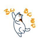 和風猫＜気分が沈んでいる時に＞（個別スタンプ：22）