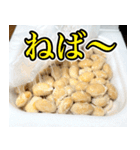 納豆食うなら平城京！！！（個別スタンプ：1）