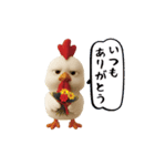 にわとり＆ひよこのおスタンプ4（個別スタンプ：21）