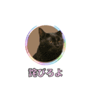 ⚫架空のショート動画の外国人で日常会話（個別スタンプ：37）