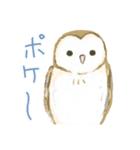 かわいい鳥♡メンフクロウ（個別スタンプ：23）