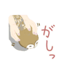 かわいい鳥♡メンフクロウ（個別スタンプ：28）