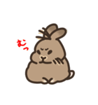 おちゃめサメでしゃめ＋けだま2（個別スタンプ：24）