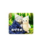 コジャさんとプニャンコさん（個別スタンプ：3）