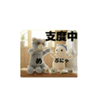 コジャさんとプニャンコさん（個別スタンプ：7）