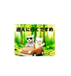 コジャさんとプニャンコさん（個別スタンプ：23）
