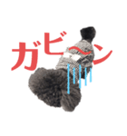 COCOピヨの幸せ（個別スタンプ：5）