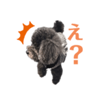 COCOピヨの幸せ（個別スタンプ：8）